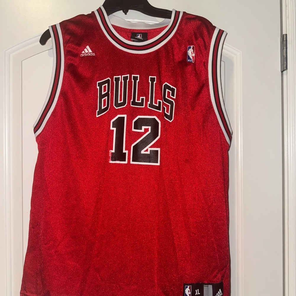 Bulls Red Basketball Jersey #12